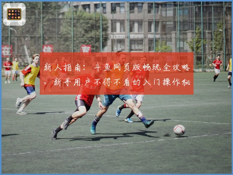 新人指南：斗鱼网页版畅玩全攻略，新手用户不得不看的入门操作秘诀