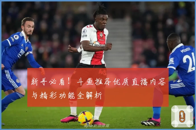 新手必看！斗鱼推荐优质直播内容与精彩功能全解析