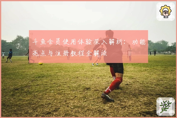 斗鱼会员使用体验深入解析：功能亮点与注册教程全解读