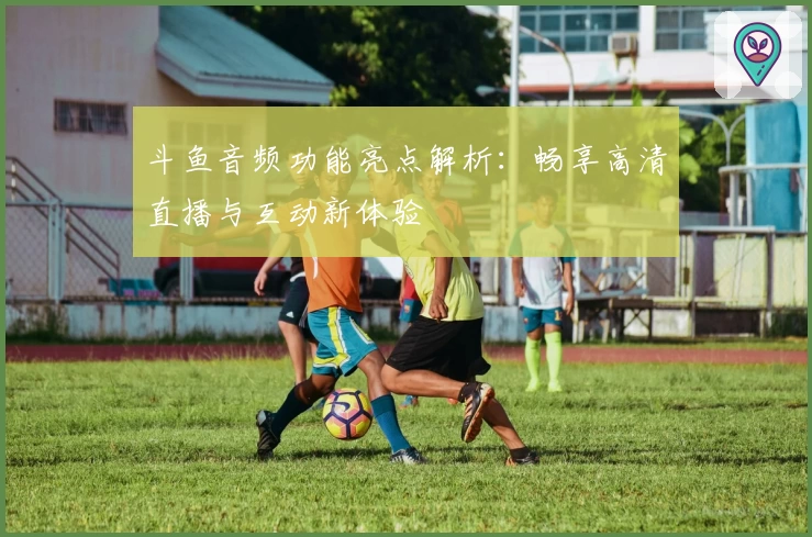 斗鱼音频功能亮点解析：畅享高清直播与互动新体验