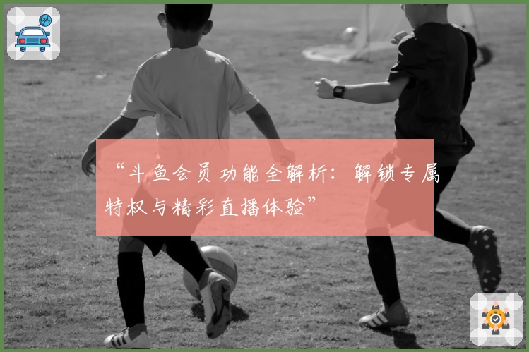 “斗鱼会员功能全解析：解锁专属特权与精彩直播体验”