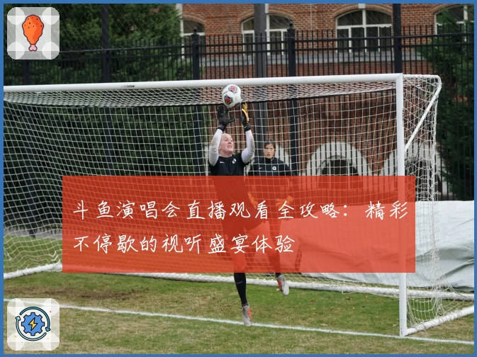 斗鱼演唱会直播观看全攻略:精彩不停歇的视听盛宴体验