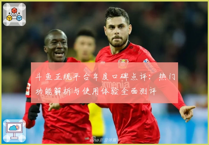 斗鱼正规平台年度口碑点评：热门功能解析与使用体验全面测评