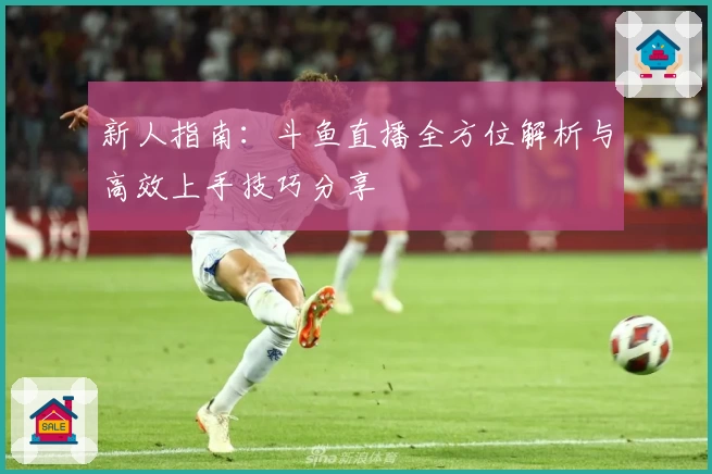新人指南：斗鱼直播全方位解析与高效上手技巧分享