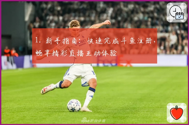 1. 新手指南：快速完成斗鱼注册，畅享精彩直播互动体验