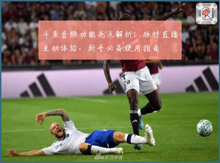 斗鱼音频功能亮点解析：独特直播互动体验，新手必备使用指南