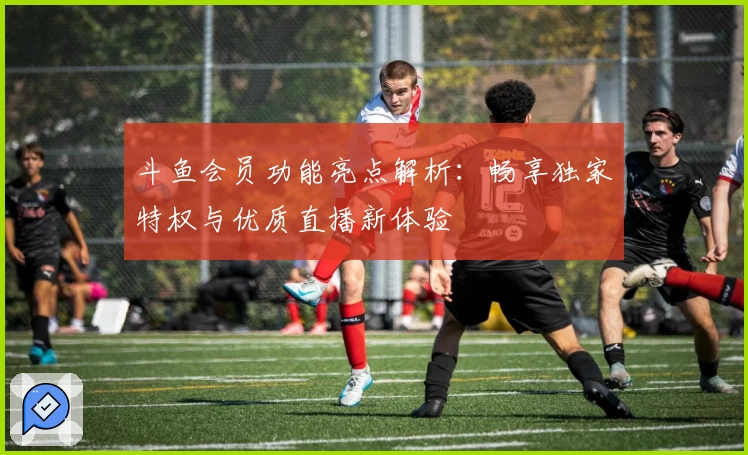 斗鱼会员功能亮点解析：畅享独家特权与优质直播新体验