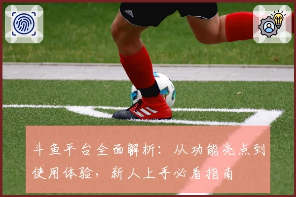 斗鱼平台全面解析：从功能亮点到使用体验，新人上手必看指南