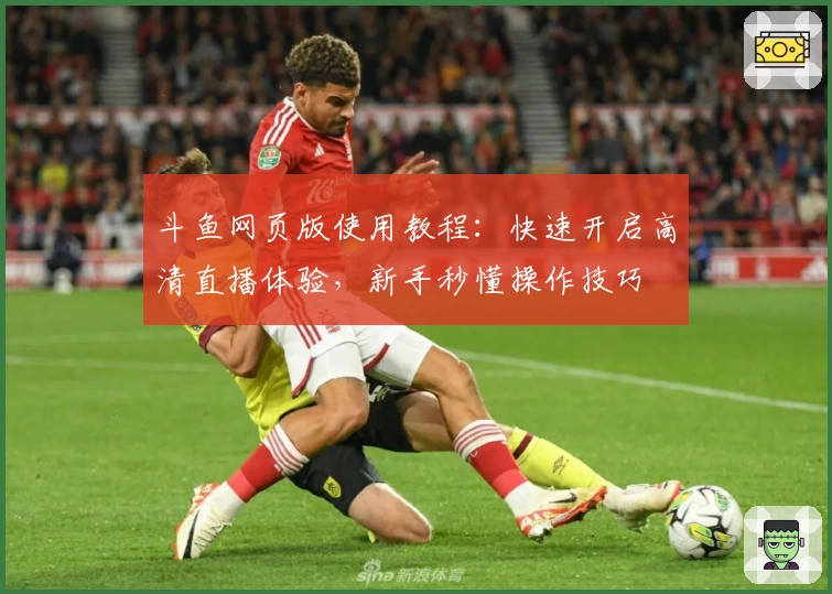 斗鱼网页版使用教程：快速开启高清直播体验，新手秒懂操作技巧